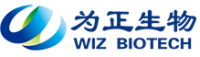 wizlogo